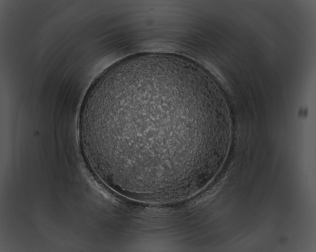 X0000091680840200708301518