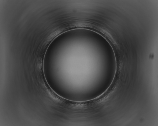 X0000091680841200708301518