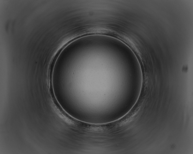 X0000091680843200708301518