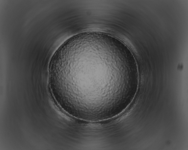 X0000091680844200708301518