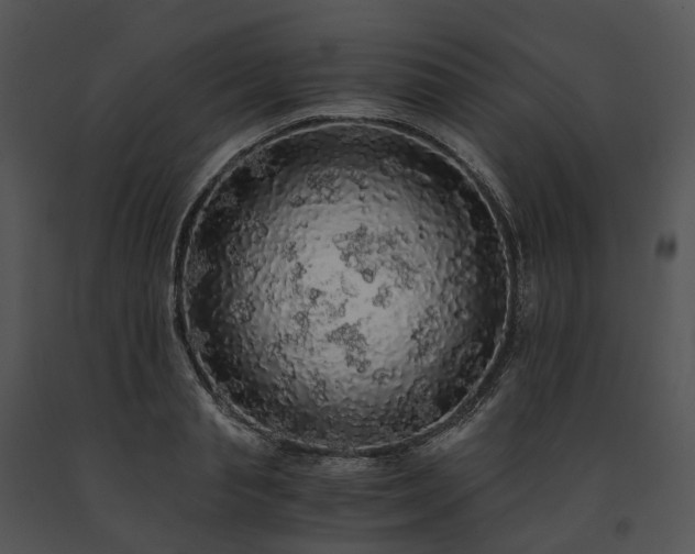 X0000091680845200708301518