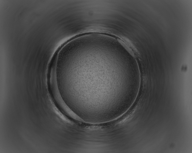 X0000091680846200708301518