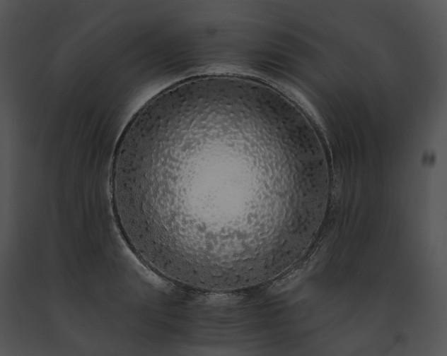 X0000091680847200708301518