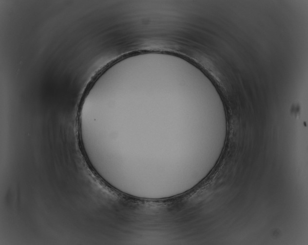 X0000091680848200708301518