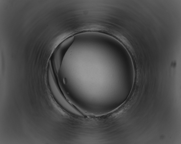 X0000091680850200708301518