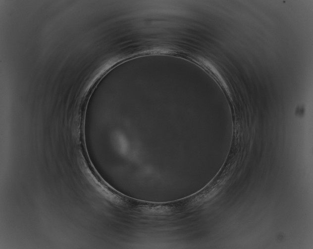X0000091680851200708301518