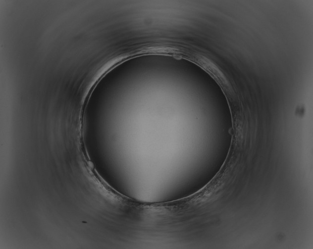 X0000091680852200708301518