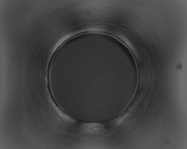 X0000091680853200708301518