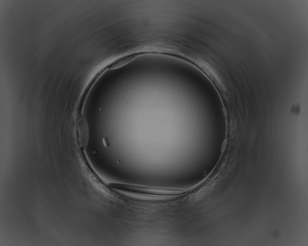 X0000091680854200708301518