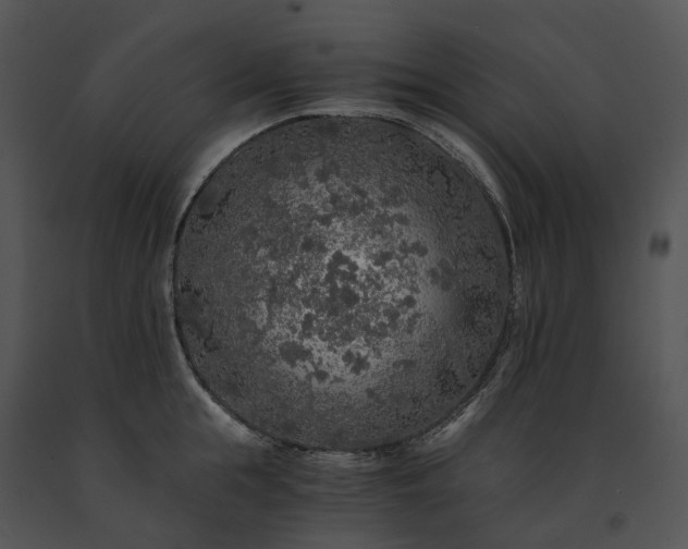 X0000091680855200708301518