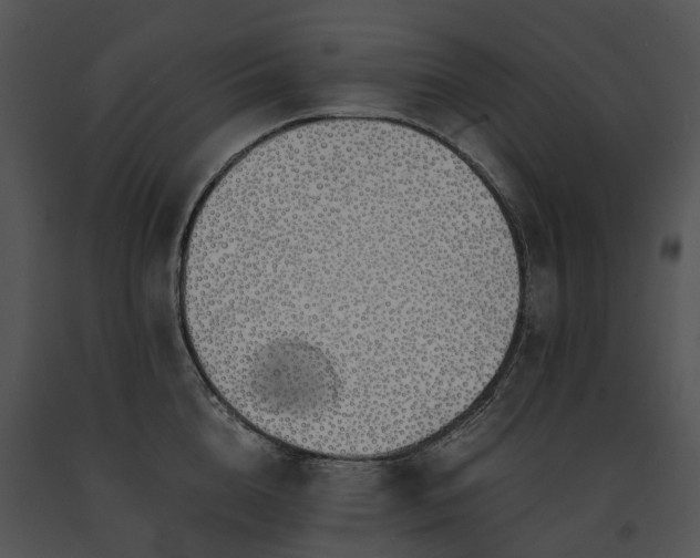X0000091680856200708301518