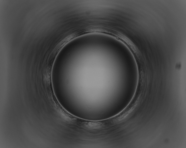 X0000091680857200708301518