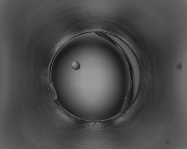 X0000091680858200708301518