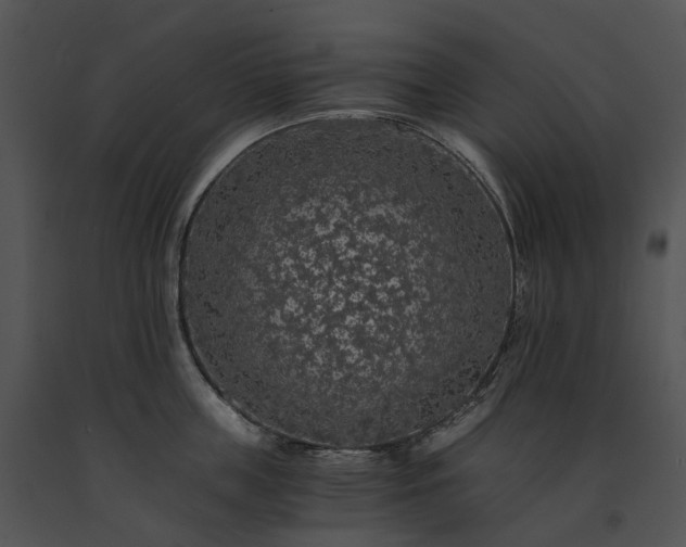 X0000091680859200708301518