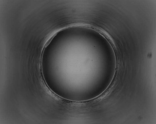 X0000091680860200708301518