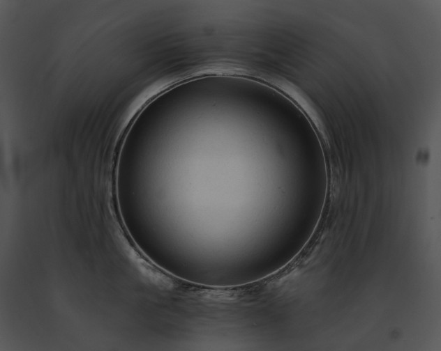 X0000091680861200708301518
