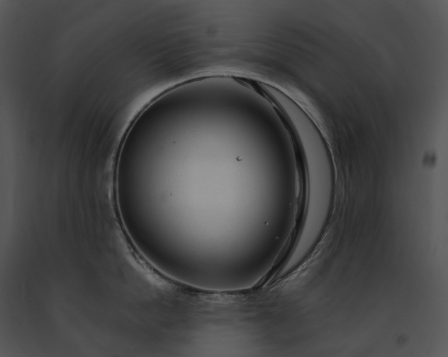 X0000091680862200708301518