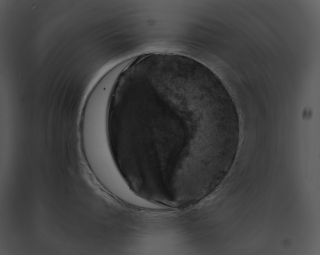 X0000091680864200708301518