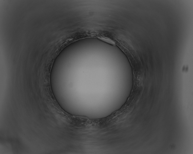X0000091680865200708301518