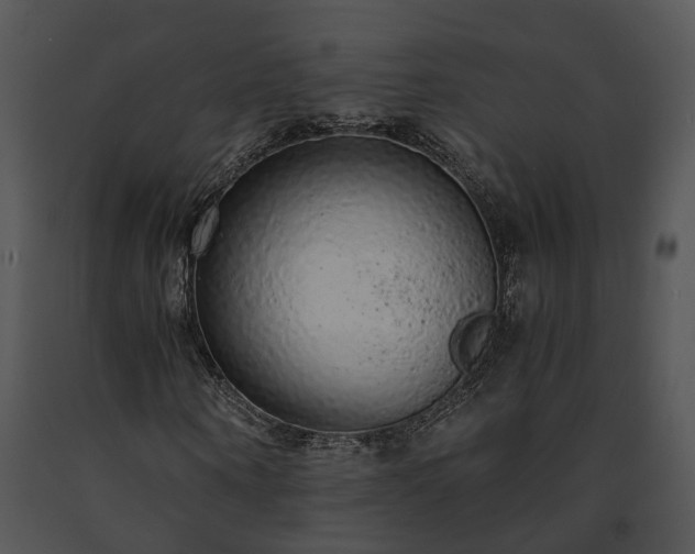 X0000091680866200708301518