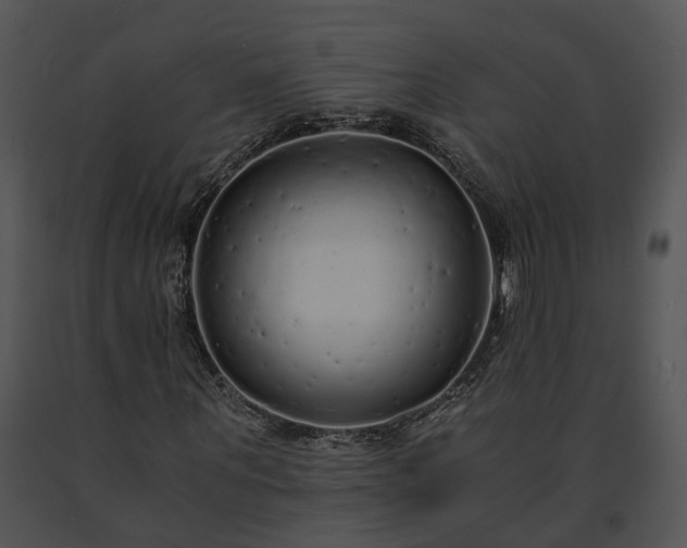 X0000091680867200708301518