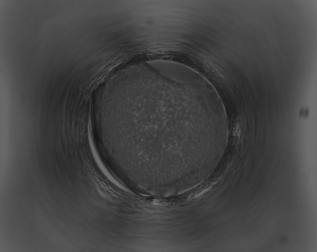 X0000091680868200708301518