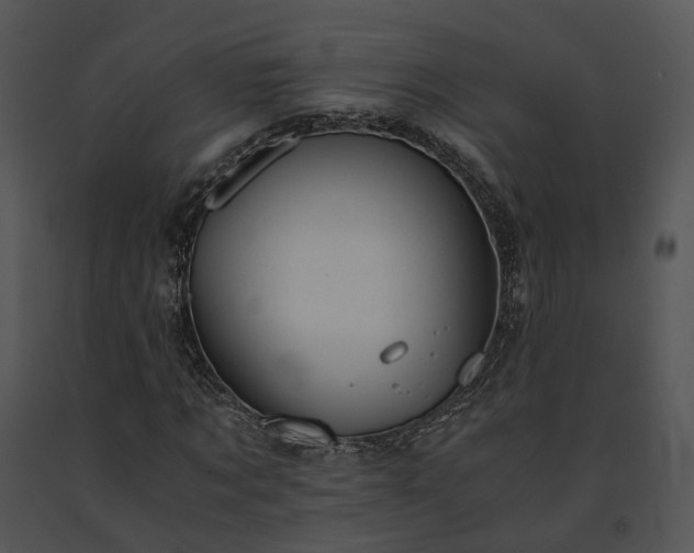 X0000091680869200708301518
