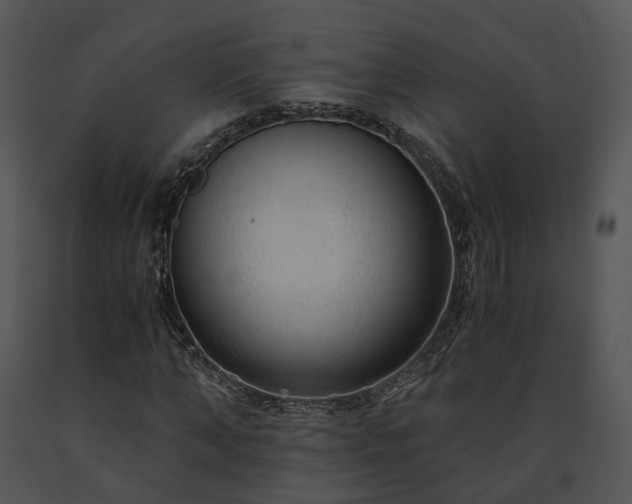 X0000091680870200708301518