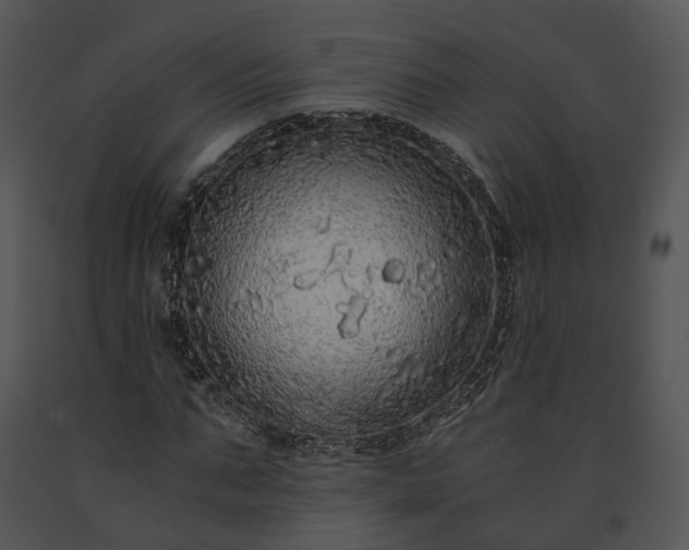 X0000091680871200708301518