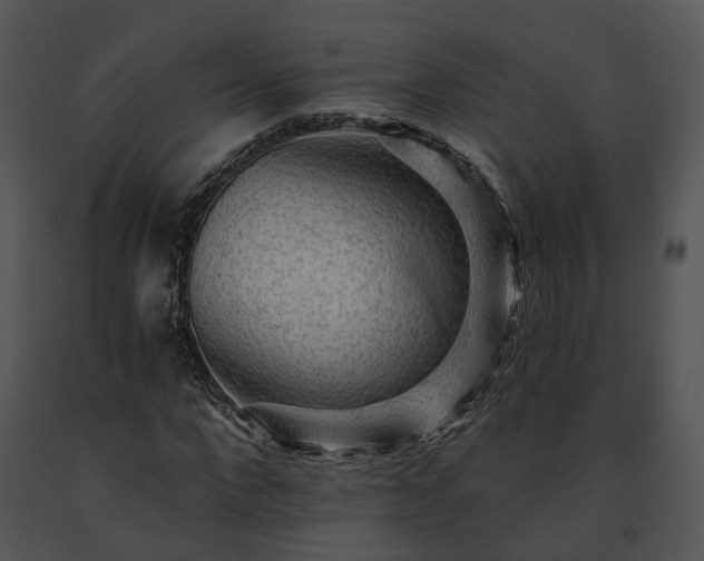 X0000091680872200708301518