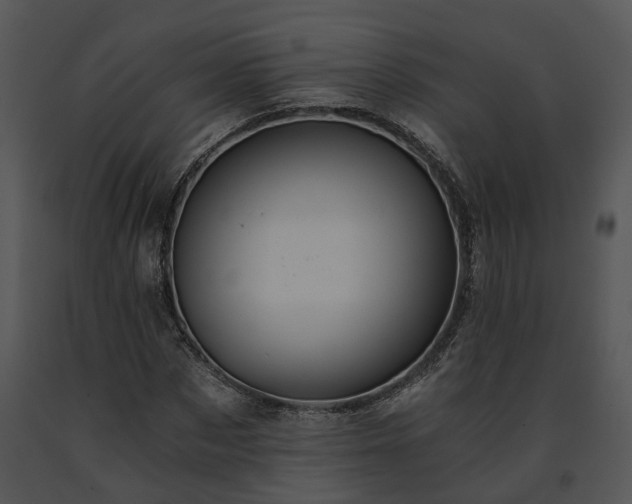 X0000091680873200708301518