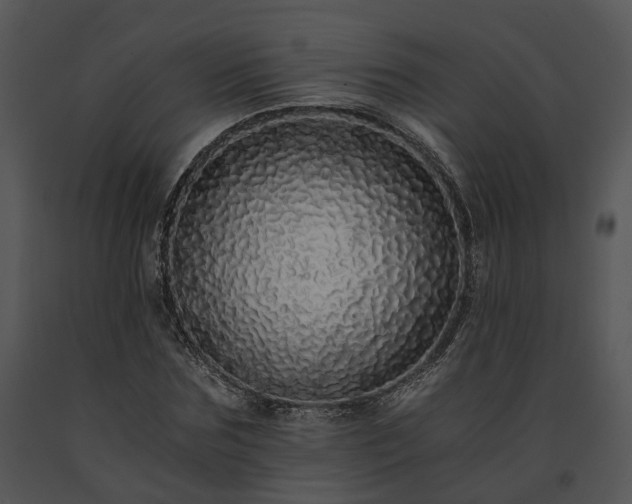 X0000091680875200708301518