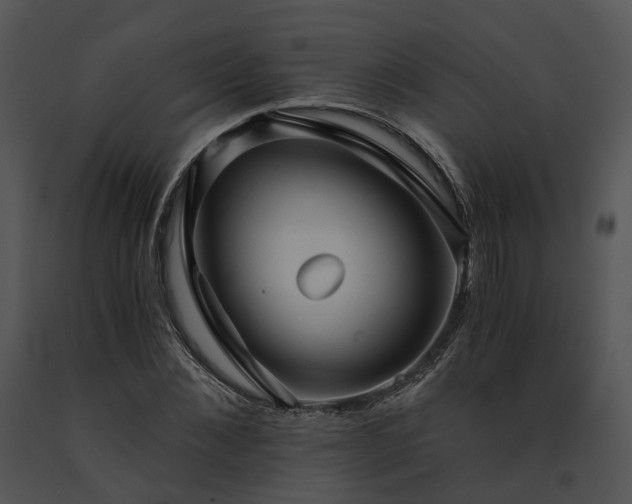 X0000091680876200708301518