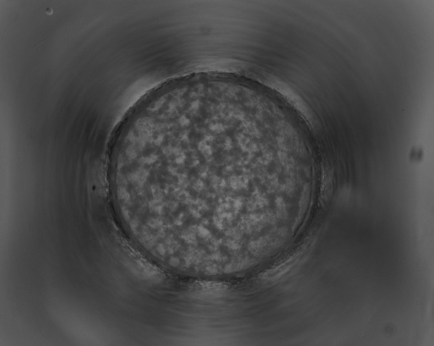 X0000091680878200708301518