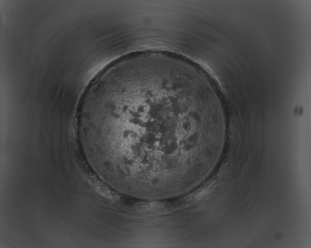 X0000091680879200708301518