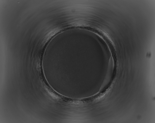 X0000091680881200708301517