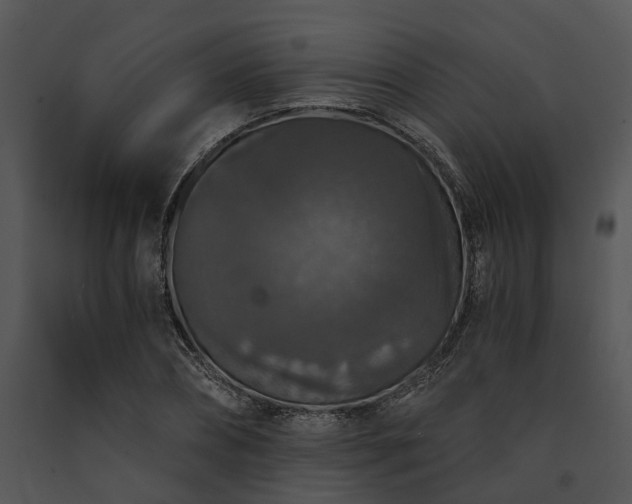 X0000091680882200708301517