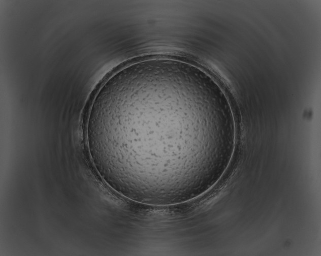 X0000091680883200708301517