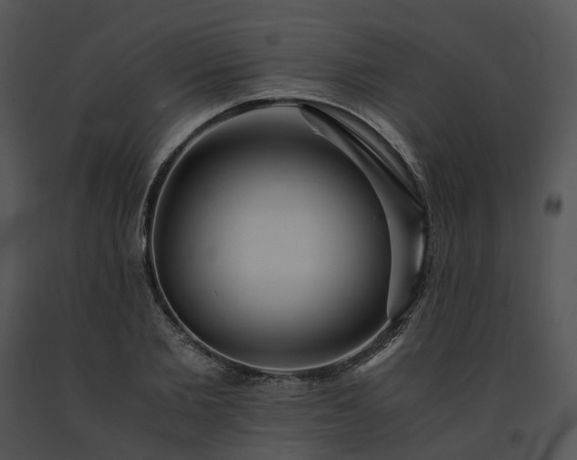 X0000091680885200708301517