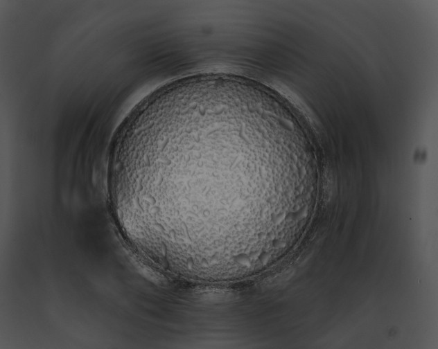 X0000091680886200708301517