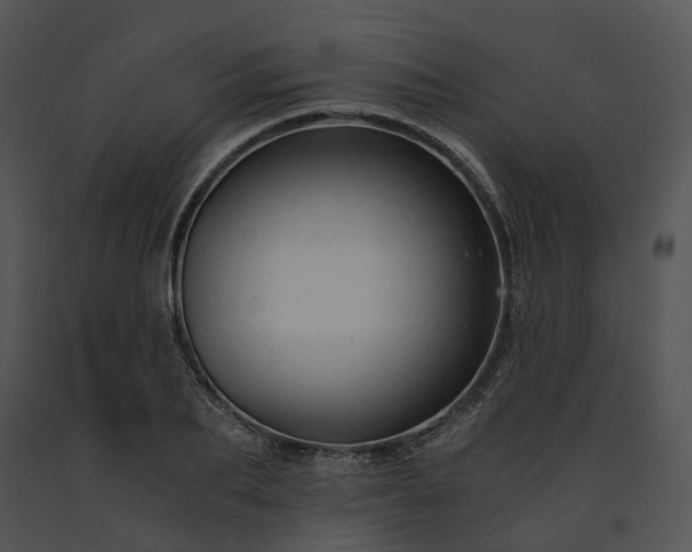 X0000091680887200708301517