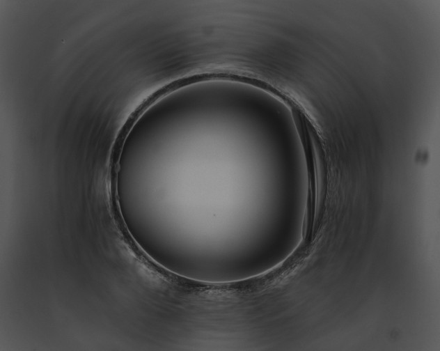 X0000091680888200708301517