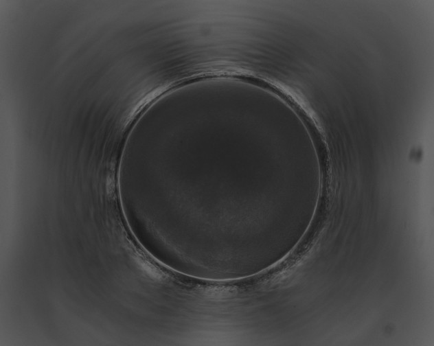 X0000091680889200708301517