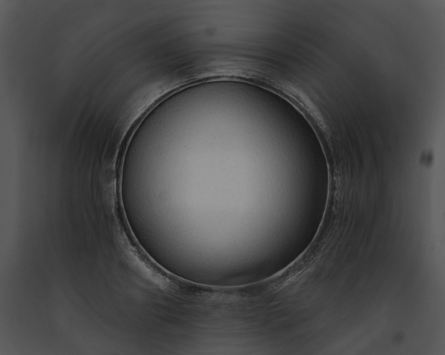 X0000091680890200708301517