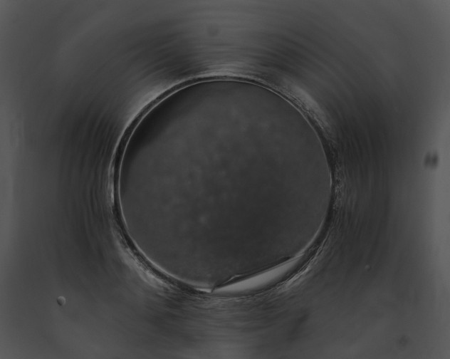 X0000091680892200708301517