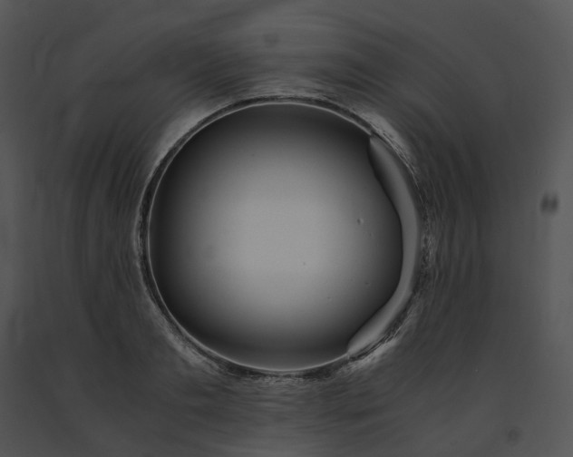 X0000091680893200708301517
