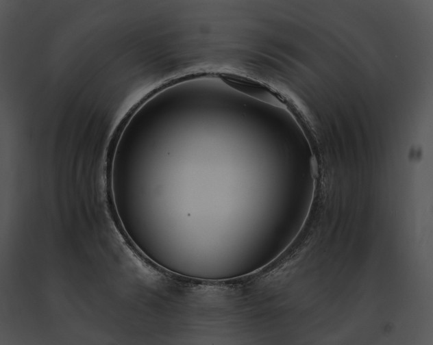 X0000091680894200708301517