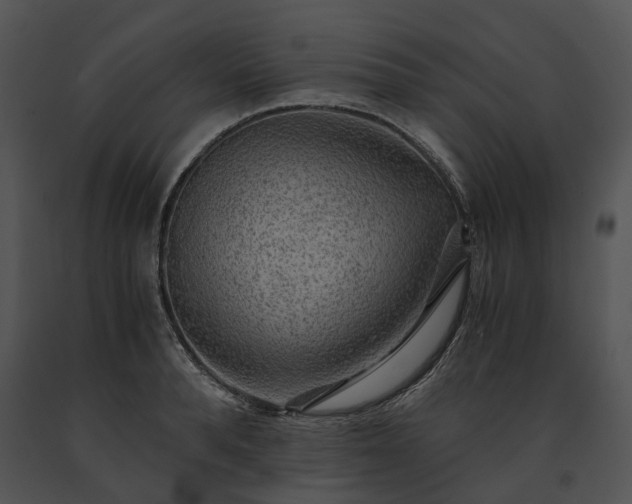 X0000091680896200708301517