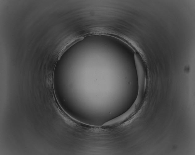 X0000091680897200708301517