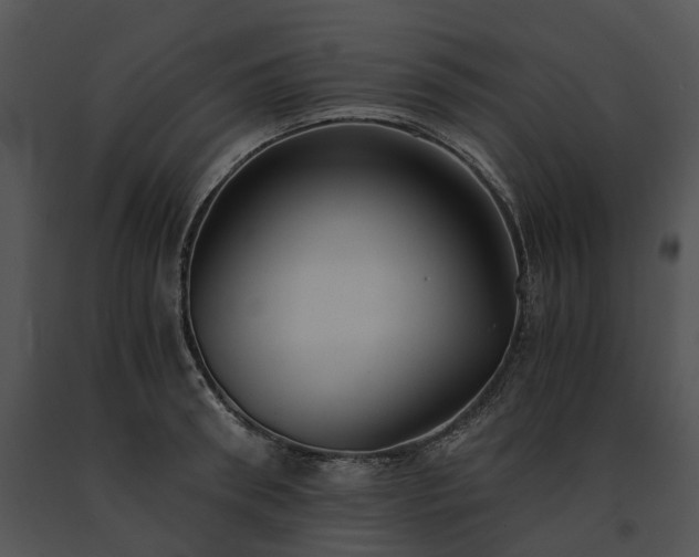 X0000091680898200708301517